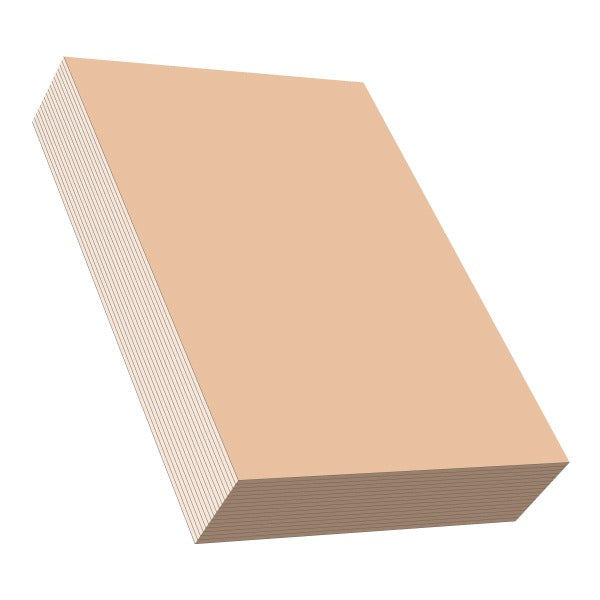 A4 Colour Copier Paper 80gsm - Light Colour (450 Sheets)